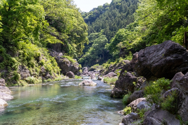 『天然知能として生きる』の意味調べノート、語句や漢字の読み方