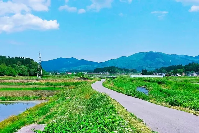 カブトムシから考える里山と物質循環　解説　意味調べノート　テスト対策　大倉茂