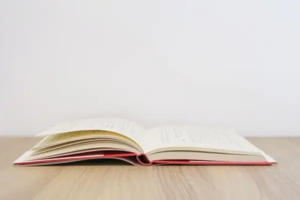 文学の仕事　解説　要約　意味調べノート　パンの問題　教科書あらすじ