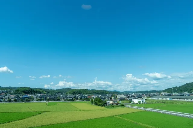 小景異情  解説 現代語語訳 国語 意味調べノート テスト